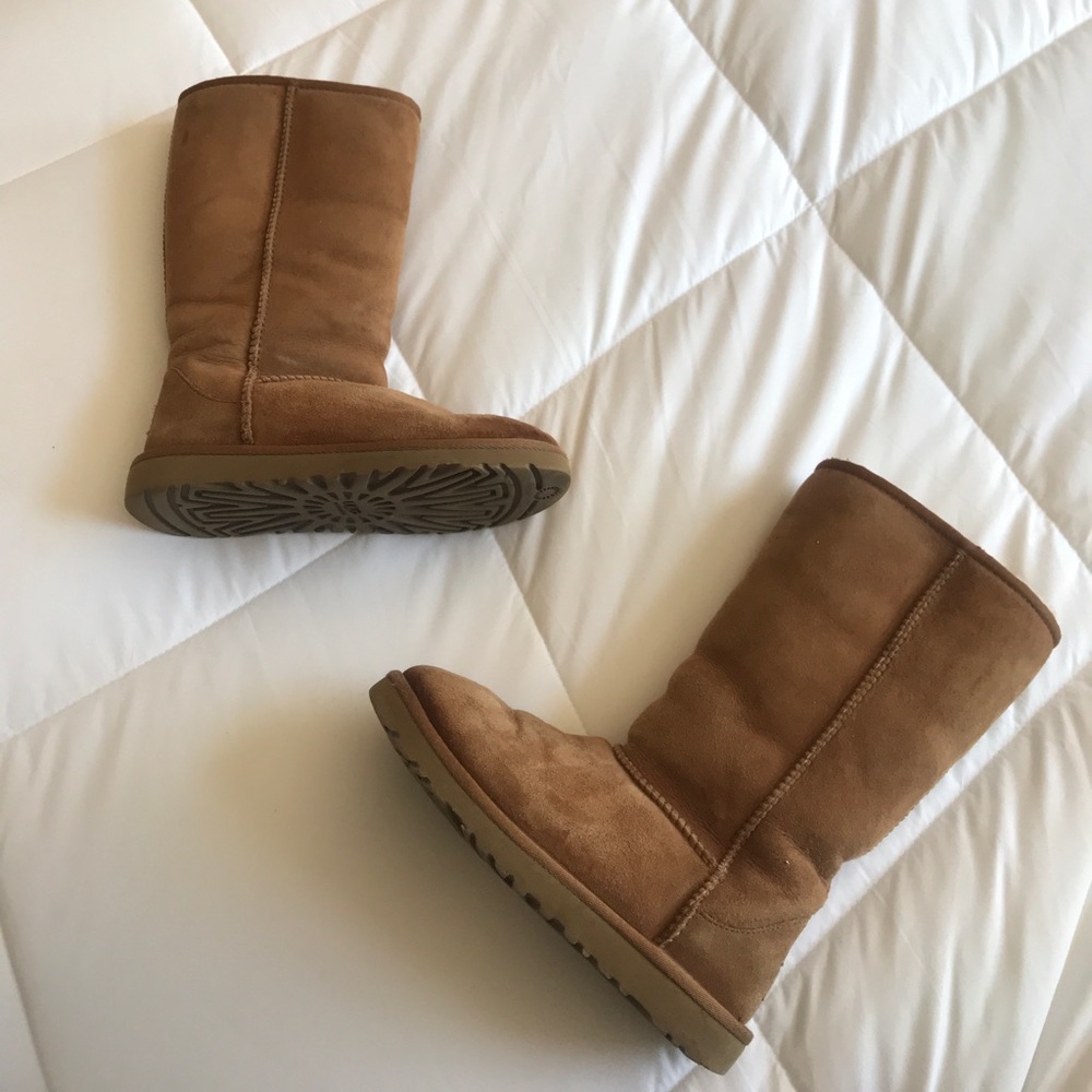 Tall Chestnut Uggs
